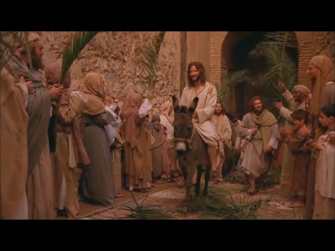 La entrada triunfal en Jerusalén - Según Juan