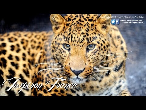 ALP vs Outwork - Fiesta Elektronika (Paolo Aliberti) instrumental