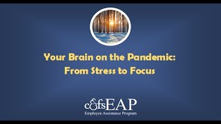 Your Brain on the Pandemic: From Stress to Focus