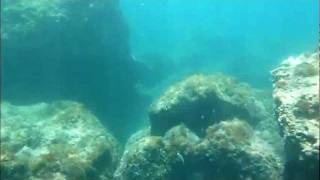 preview picture of video 'Underwater scenery from Parga'