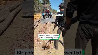 Download lagu Stripping Bark Has Never Been Easier 🤩 mp3