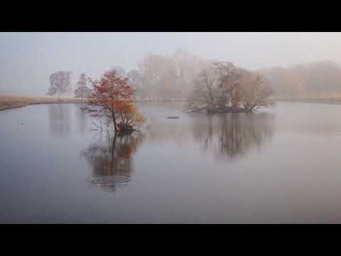 Shades of Autumn - Original Version - Mark John McEncroe