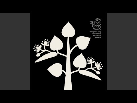 Projden Kroz Pasike (Blüten Rmx)