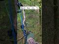 It Don T Get Any Better Bowhunting Bucks Publicland