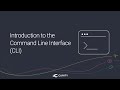 Introduction to the Command Line Interface (CLI) I Curity Identity Server