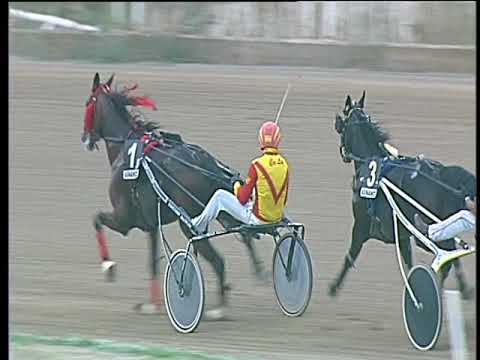 Trotto 01/10/2017 - 6ª corsa