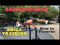 CALISTHENICS SKILL TRAINING | HOW TO PLANCHE | 1 ARM PULL UP TRAINING