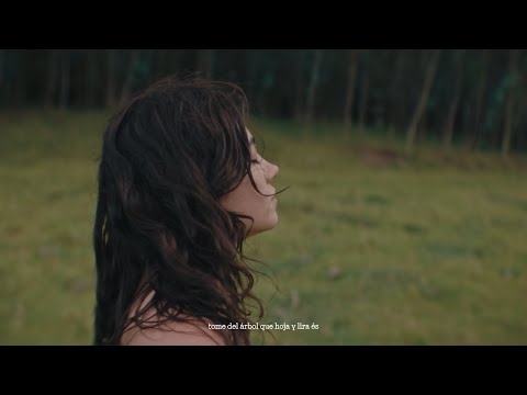 ✶ La cara de la Ortiga ✶ (Visualizer) 2025