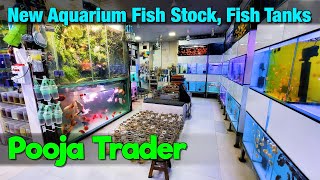 I'm Revealing the BEST Aquarium Fish Stock in Mumbai I Pooja Trader Aquarium Store