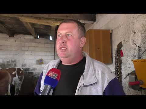 -Farma muznih krava porodice Šabić iz Bosanske Krupe -2019