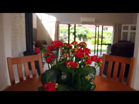 SOLD - 92B Riddell Road, Glendowie - Zdenka Zinajic