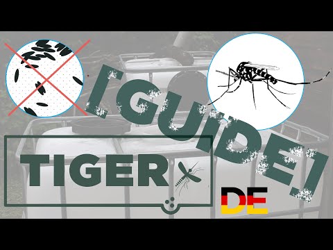 Tigermücken Prävention - Regenwassertank [TIGER Guide]