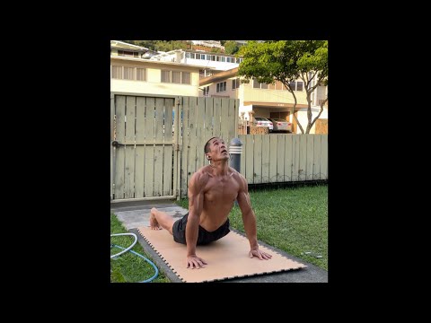 Dive Bomber Push Ups x 2 - age 52, January 21, 2021\