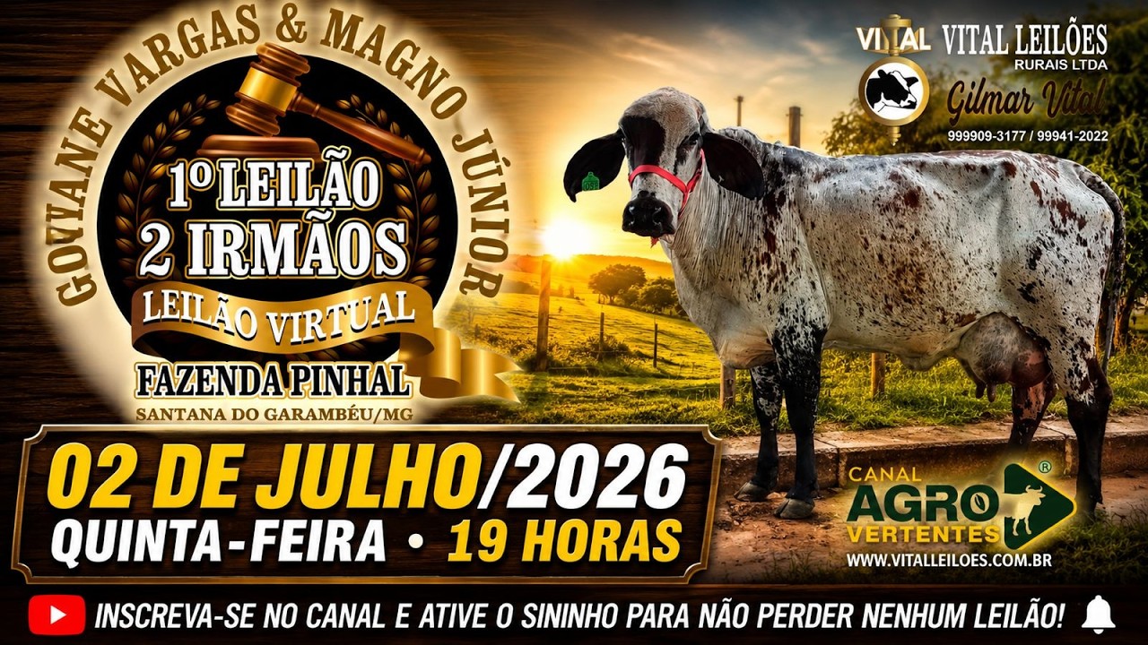1º LEILÃO VIRTUAL DOIS IRMÃOS - GIOVANE VARGAS E MAGNO JÚNIOR - SANTANA DO GARAMBÉU/MG - 02/07/2026
