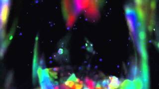 Bon Iver - Minnesota, WI video HD