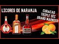 🍊DIFERENCIAS CURAÇAO / TRIPLE SEC / COINTREAU / GRAND MARNIER