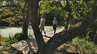 How to stay safe as Lyme disease cases rise