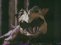 Opening To The Adventures Of Corduroy The Puppy 1996 VHS