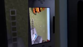 [Wii U マイクラ ]うるさいキッズポコリュウ
