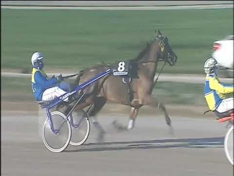 Trotto 31/12/2019 - 4ª corsa