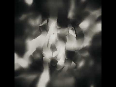 16555152601232134154534