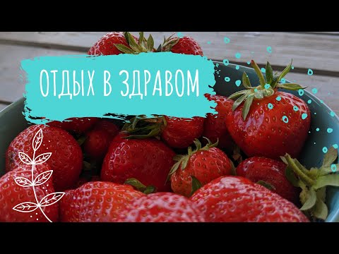 Поселение 'Здравое', Краснодарский край
