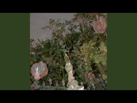 making out at the cemetery