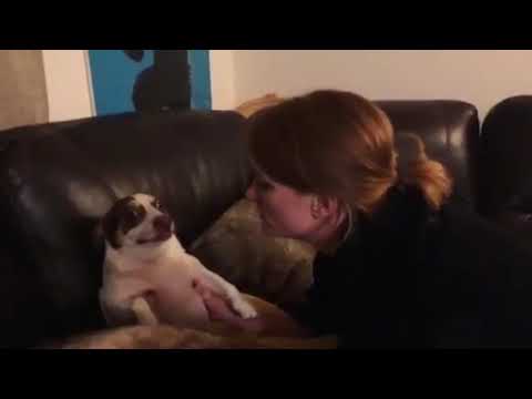 It's Mr.Bubz's Bedtime