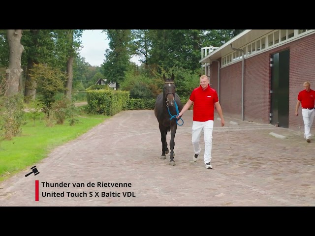 Extra Long jumping movie Thunder van de Rietvenne  (United Touch S x Baltic VDL) on the Movie day!