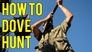 How To Dove Hunt