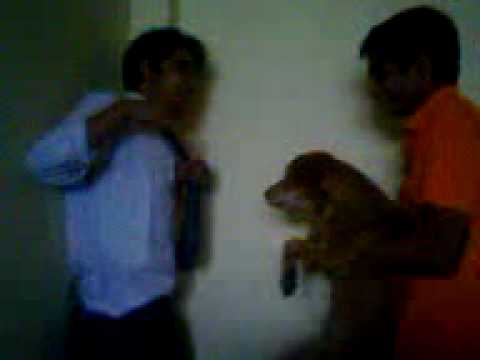 Ultimate fear from dogs