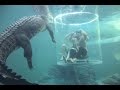 I Can't Believe This Is Happening | Cage Diving With Sharks & Crocodiles