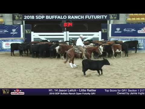 Jason Leitch Little Rattler Top Score 217 2018 SDP Buffalo Ranch Open Futurity GR1 Section 1
