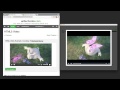 Turbo Download Manager (Classic)