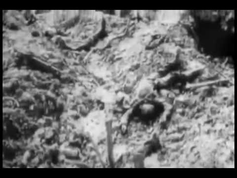 Vir Martialis - Pro Patria Mori