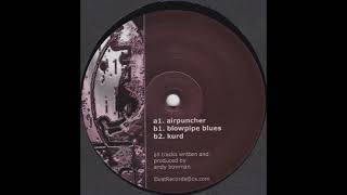 Andy Bowman ‎– Blowpipe Blues (2001)