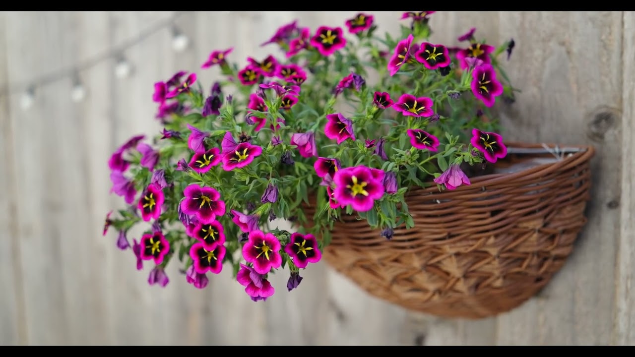 Leica Q3 43 — Cinematic 4K - YouTube