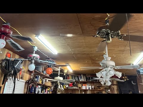 National ceilingfan day, special ceiling fans in the garage display