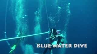 preview picture of video 'ブルー　ウォーター　ダイビング（Blue Water Diving)'