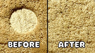 Remove Furniture Dents From Carpet (Easy-Peasy)