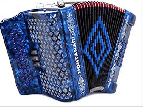 hora instrumentala acordeon si saxofon de joc