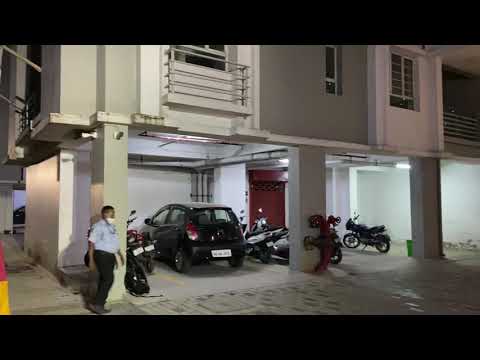 Avishi Lightning 2021