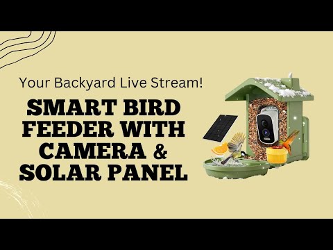 Smart Bird Feeder with Camera Review — Solar Powered & Packed with Features!
