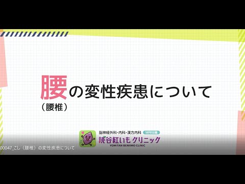 椎間板変性疾患:その正体、原因、症状、治療法