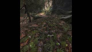 The vanishing of ethan carter vr