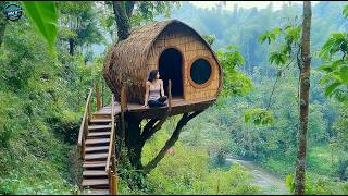One-of-a-Kind Treehouse – A Journey to Blend with the Green Forest
