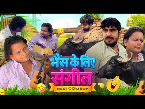 DHEERU KI BHAIS || भैस के लिए संगीत 