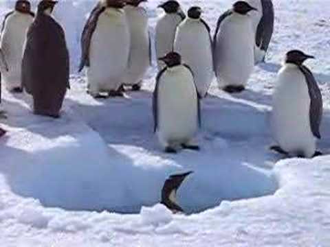 Penguin can't get out of the hole!