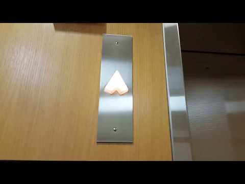 MEI Hydraulic Elevator (South) @ Andersen Library - U of M - Minneapolis, MN