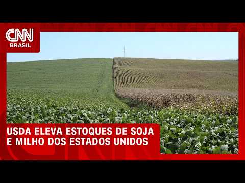 USDA eleva estoques de soja e milho dos EUA acima do esperado pelo mercado | CNN AGRO NEWS